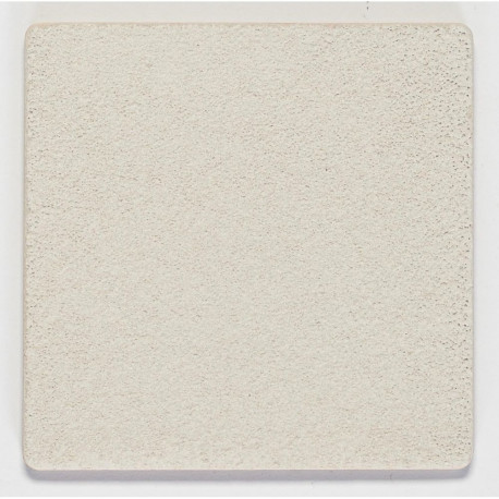 PIGMENT 199B 546G