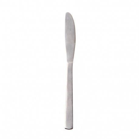 PACK OF 2 KNIVES 21.5 CM STAINLESS STEEL
