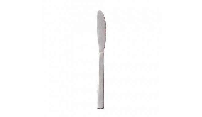 2 roostevabast terasest nuga 21.5 cm