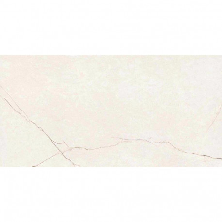 TILE AVORIO WHITE MATE 60X120 (1.44)