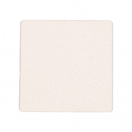 PIGMENT 200_B 261 G