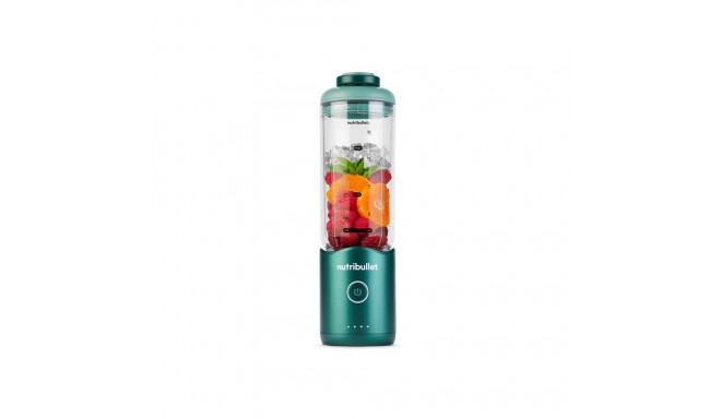 BLENDER NBP013GR NUTRIBULLET