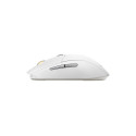 MOUSE STEELSERIES RIVAL 3 WL GEN 2 WHITE