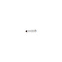 SOCKET 1/4 6MM LONG