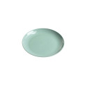 SHALLOW SMALL PLASTIC PLATE. GREEN
