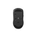 Mysz TRACER GAMEZONE NIPPY RF (2.4G+BT) RF
