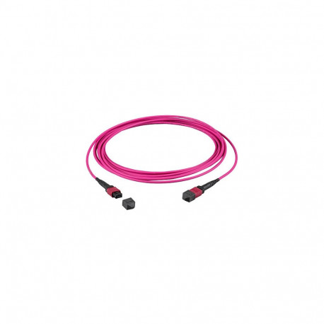 "EFB MTP(F)-MTP(F) Patchkabel OM4 36 Fasern Typ A LSZH erika-violett 20m"
