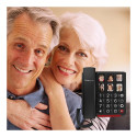 "amplicomms BigTel 40 plus Grotastentelefon/Fototasten"