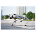 Unitree robotkoer Go2 Air kaugjuhtimispuldiga