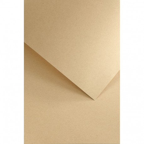 Disainpaber Nature Dark Beige A4, 220g/20lk