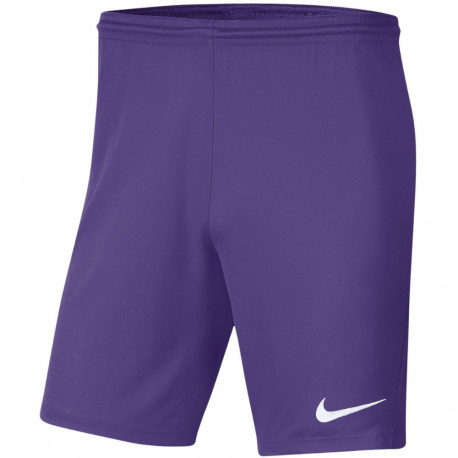 Nike meeste lühikesed püksid Dry Park III NB K BV6855 507 L, lilla
