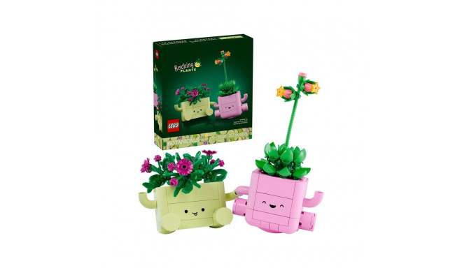CONSTRUCTOR ROCKING PLANTS