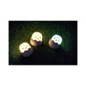 Night lamp BD-NL-01 Chicken
