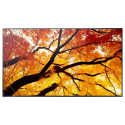 "Sharp MultiSync M752 Digital Signage Display 189,3 cm 75 Zoll"