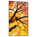 "Sharp MultiSync M752 Digital Signage Display 189,3 cm 75 Zoll"
