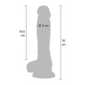 ToyJoy Pride Rainbow Lover 7'