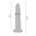 Dong 7 inch