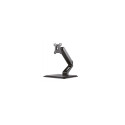 NEWSTAR FLAT SCREEN DESK MOUNT (STAND)  15-32" BLACK