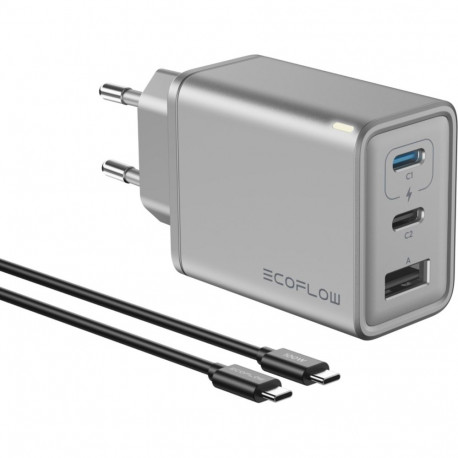 EcoFlow Rapid Charger 65 W USB-laadija 100 W kaabliga