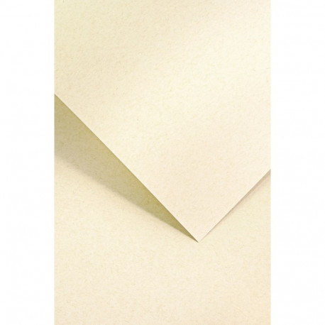 Disainpaber Nature Light Beige A4 220g 20lehte pakis