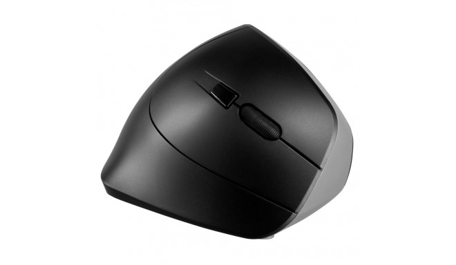 Cherry Mouse MW 4500 (JW-4500) (JW4500)