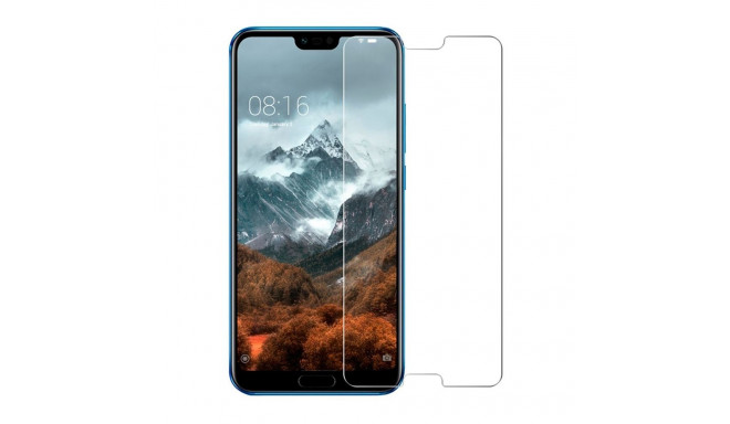 Evelatus Huawei Honor 10 2.5D Full Cover Japan Glue Glass Anti-Static