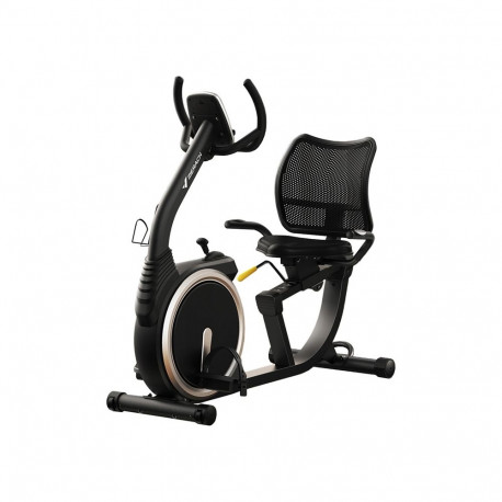 MERACH MR-S19 Recumbent Bike