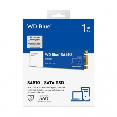 WD Blue SA510 1000GB WDS100T3B0B