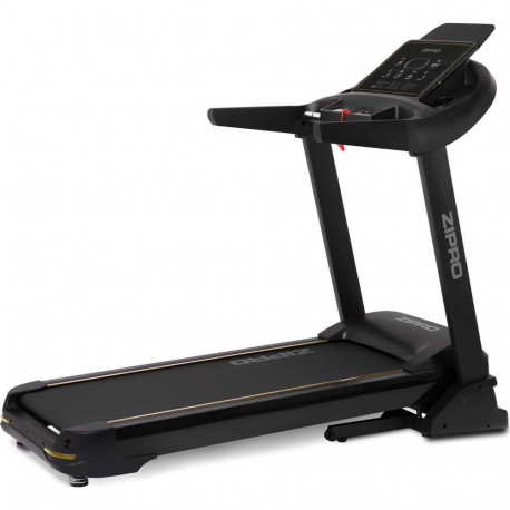 Zipro Pacemaker iConsole+