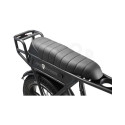 Ape Ryder A10 20'''' Black