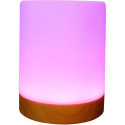 Realpower Ambiente Light 200 RGB