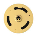 Ezviz DP2C Gold