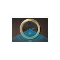 Ezviz DP2C Gold