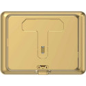 Ezviz DP2C Gold