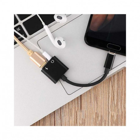 Riff Adapter Type-C to Type-C + jack 3.5mm