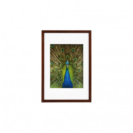Picture Frame - GOLDBUCH Frame GB 900715 20x30/15x20 Wooden Mahagoni