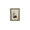 Frame - Imagee VESTA 40x60 Plastic Frame 31mm Profile Silver