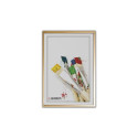Frame - Gedeon GED 50x60 Plastic Frame 8mm Easy Display Gold