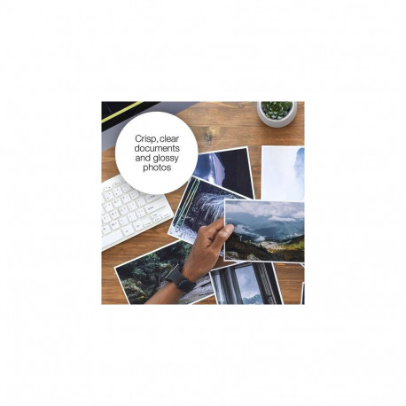 Epson Kiwi Singlepack Black 202 Claria Premium Ink