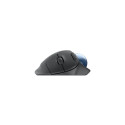 Logitech ERGO M575 Wireless Trackball for Business Wireless Mouse RF Wireless+BT, 2000 DPI, Graphite
