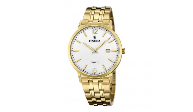 Festina Classics F20513/2 Men's Watch