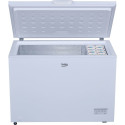 BEKO CF316EWN (white)
