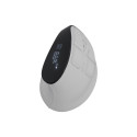 Natec Mouse | Euphonie Pro | Wireless | 2.4 GHz, Bluetooth | White