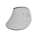 Natec Mouse | Euphonie Pro | Wireless | 2.4 GHz, Bluetooth | White