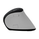 Natec Mouse | Euphonie Pro | Wireless | 2.4 GHz, Bluetooth | White