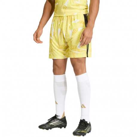 Adidas meeste spordipüksid Tiro 26 Competition Goalkeeper KC5347 L, kollane