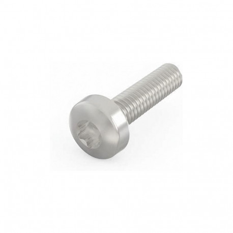 "SCHROFF Linsenkopfschraube mit Torx - TORX-LINSKOSCHR 2,5X10 100ST"