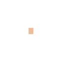MAC Studio Fix Fluid (30ml) (NC15)
