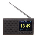 Adler AD 1198 RDS 3W Black