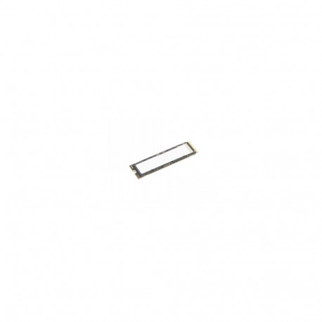 LENOVO TS 2TB PERFORMANCE PCIE GEN5 NVME OPAL2 M.2 2280 SSD